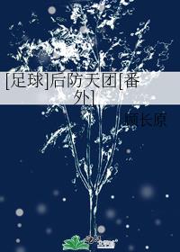 [足球]后防天团[+番外]