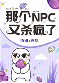 那个npc又杀疯了TXT