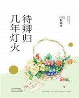 几年灯火待卿归+番外_山有嘉卉_256中文