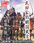 武田家的明国武士[校对版]