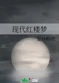 红楼梦 2010