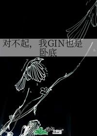 对不起，我GIN也是卧底