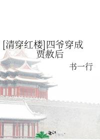 清穿红楼之四爷在上小说