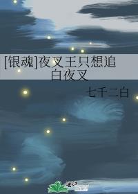 银魂白夜叉是谁