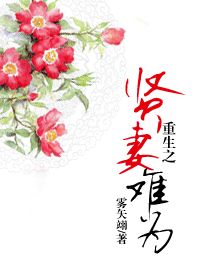 《重生之贤妻难为》作者:雾矢翊