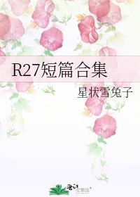 R27短篇合集