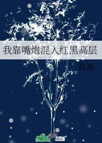 我靠嘴炮刷副本全文