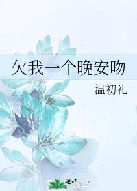 小说《欠我一个晚安吻》