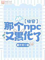 那个npc又黑化了