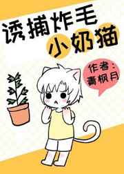 诱捕炸毛小奶猫小说免费阅读