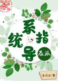 反派指导系统