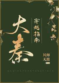 大秦穿越指南