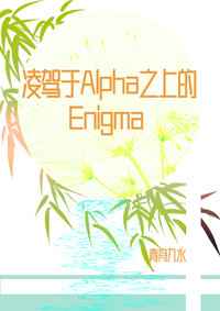 凌驾于Alpha之上的Enigma 作者:青舟九水