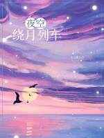 夜空绕月列车双洁吗