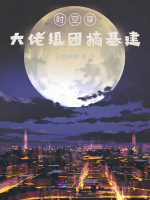 时空穿，大佬组团搞基建